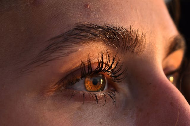 EMDR